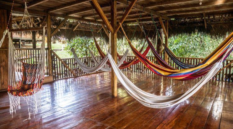 Caiman Lodge - Cuyabeno Nature Amazon Tour Exteriör bild