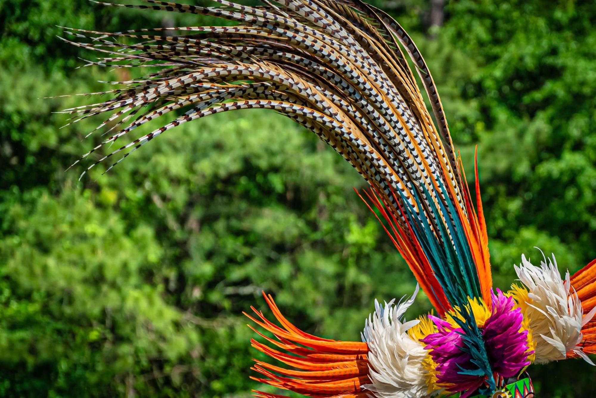 Caiman Lodge - Cuyabeno Nature Amazon Tour Exteriör bild