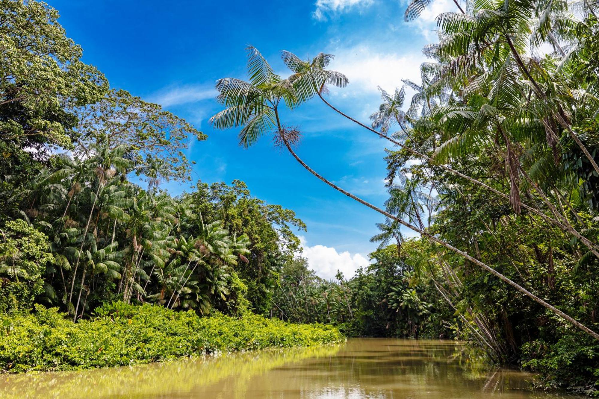 Caiman Lodge - Cuyabeno Nature Amazon Tour Exteriör bild